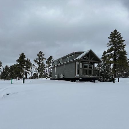Cozy Cabin By Forest View 4B ウィリアムズ エクステリア 写真