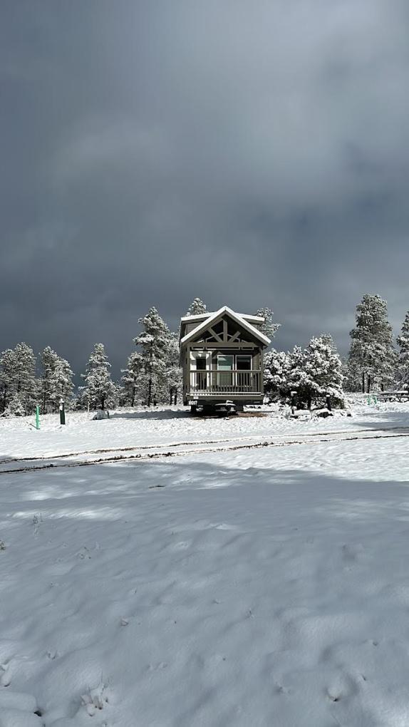 Cozy Cabin By Forest View 4B ウィリアムズ エクステリア 写真